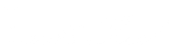 SB Logo White 512x150